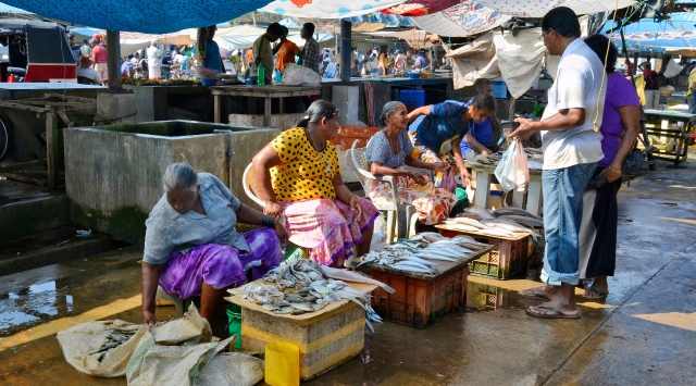 fish-market-negombo