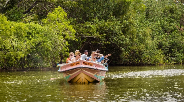 Negombo lagoon safari